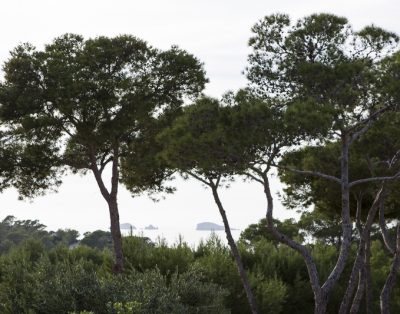 Villa Sabrina